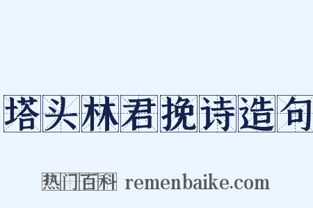 塔头林君挽诗造句是什么意思的图片
